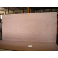 8.5mm bintangor face back packing plywood poplar core one time hot pressed